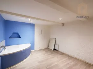 Prodej bytu 2+kk, Praha - Podolí, Sinkulova, 58 m2