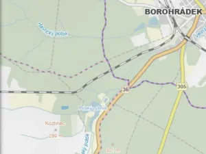 Prodej lesa, Veliny, 4431 m2