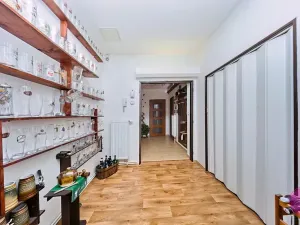 Prodej bytu 3+1, Olomouc, Palackého, 127 m2