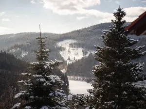 Prodej bytu 4+kk, Špindlerův Mlýn, Vodárenská, 73 m2