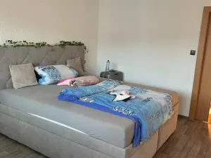 Pronájem bytu 3+1, Prachatice, SNP, 67 m2