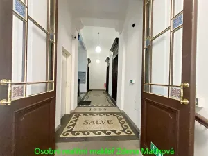 Pronájem bytu 2+kk, Praha - Vinohrady, Lublaňská, 56 m2