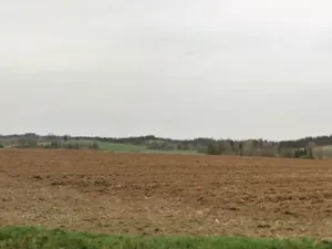 Dražba pole, Horní Cerekev, 18662 m2