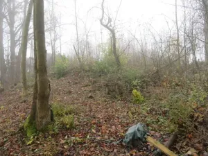 Dražba zahrady, Staré Město, 490 m2