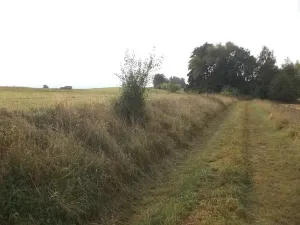 Dražba louky, Horní Pěna, 1083 m2