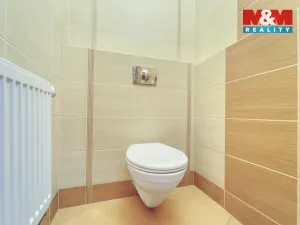 Prodej rodinného domu, Zruč-Senec - Zruč, Zlatá, 266 m2