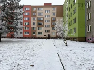 Prodej bytu 2+1, Ostrava, Dr. Malého, 45 m2