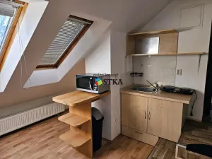 Prodej obchodního prostoru, Nový Jičín, Dolní brána, 2500 m2