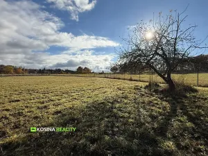 Prodej pozemku pro bydlení, Kynšperk nad Ohří, Petra Bezruče, 4145 m2