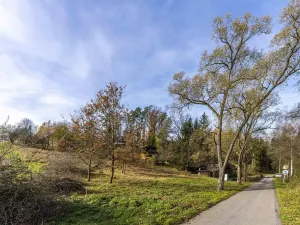 Prodej pozemku, Všechlapy, 927 m2