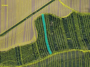 Prodej podílu pole, Syrovín, 7351 m2