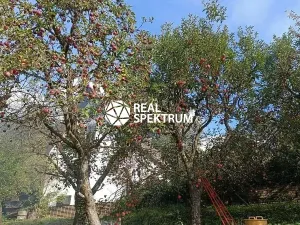 Prodej chaty, Blansko, Nad Žlíbkem, 110 m2