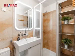 Prodej bytu 2+1, Praha - Karlín, Pernerova, 60 m2