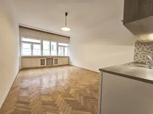 Pronájem bytu 1+kk, Praha - Vinohrady, Řipská, 28 m2
