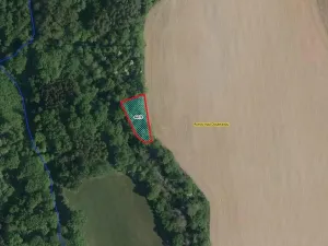 Prodej lesa, Ronov nad Doubravou, 964 m2