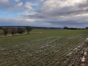 Prodej sadu/vinice, Malý Újezd, 7862 m2