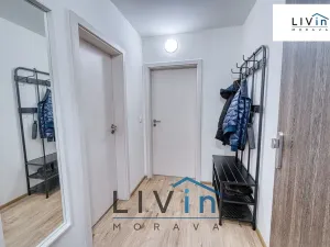 Pronájem bytu 2+kk, Olomouc, Wolkerova, 58 m2