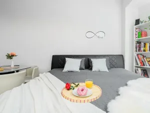 Pronájem bytu 1+kk, Liberec, Jeronýmova, 33 m2