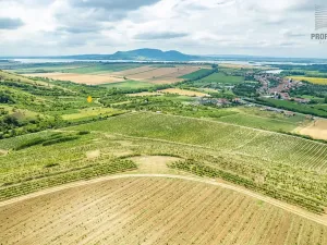 Prodej sadu/vinice, Pouzdřany, 1120 m2