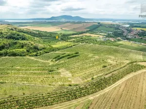 Prodej sadu/vinice, Pouzdřany, 1120 m2