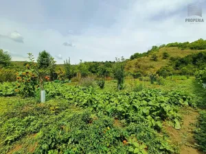 Prodej sadu/vinice, Pouzdřany, 1120 m2