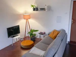 Pronájem bytu 1+1, Liberec, nám. Českých bratří, 40 m2