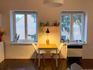 Pronájem bytu 1+1, Liberec, nám. Českých bratří, 40 m2