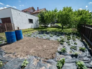 Prodej rodinného domu, Mnichovo Hradiště, 200 m2