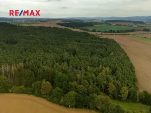 Prodej lesa, Všehrdy, 35057 m2