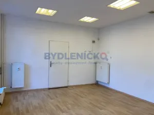 Pronájem komerční nemovitosti, České Budějovice, Hradební, 35 m2