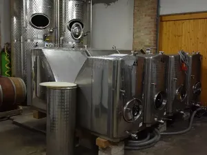 Prodej rodinného domu, Moravská Nová Ves, Pod Kostelem, 108 m2