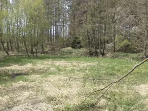 Dražba louky, Mezno, 8388 m2