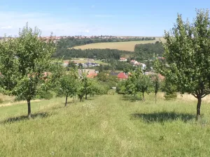 Dražba louky, Podolí, 10906 m2