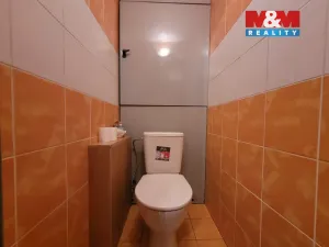 Pronájem bytu 3+1, Kolín - Kolín V, Podskalské nábřeží, 63 m2