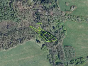 Prodej pole, Petrovice, 16989 m2