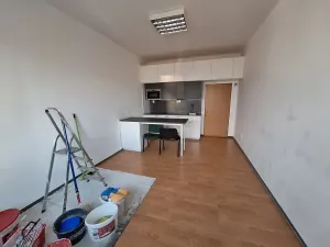 Pronájem bytu 1+kk, Praha - Michle, Jihlavská, 21 m2