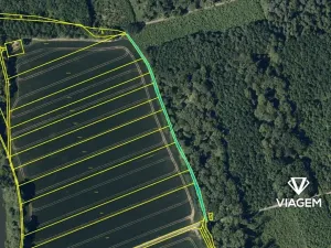 Prodej podílu lesa, Uhřičice, 2517 m2