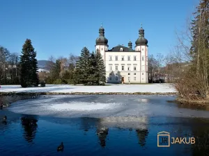 Pronájem bytu 3+1, Vrchlabí, Nerudova, 65 m2