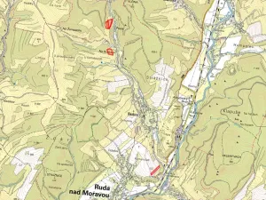 Prodej louky, Ruda nad Moravou, 31498 m2