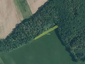 Prodej pole, Lažany, 11921 m2