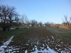 Prodej rodinného domu, Boršice, 870 m2