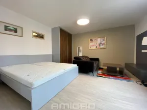 Pronájem bytu 1+kk, Brno, Reissigova, 41 m2