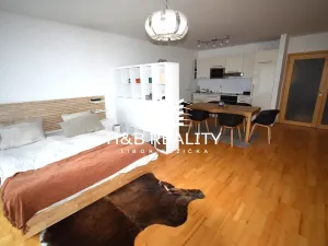 Pronájem bytu 1+kk, Praha - Žižkov, Ke kapslovně, 53 m2