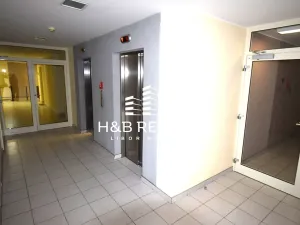 Pronájem bytu 1+kk, Praha - Žižkov, Ke kapslovně, 53 m2