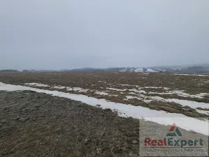 Prodej pole, Nový Rychnov, 73681 m2
