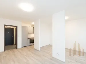 Pronájem bytu 1+kk, Kralupy nad Vltavou, Nádražní, 38 m2