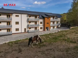 Prodej bytu 2+kk, Vrbno pod Pradědem, Žižkova, 70 m2