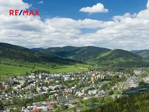 Prodej bytu 1+kk, Vrbno pod Pradědem, Žižkova, 42 m2