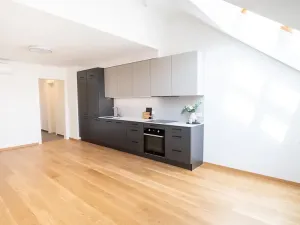 Pronájem bytu 3+kk, Praha - Žižkov, Jeronýmova, 77 m2