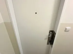 Pronájem bytu 1+kk, Praha - Vinohrady, Boleslavská, 37 m2